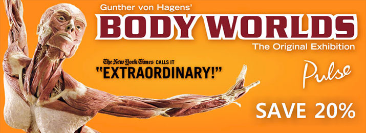 Click here for online discount tickets for Body Worlds Exhibition
