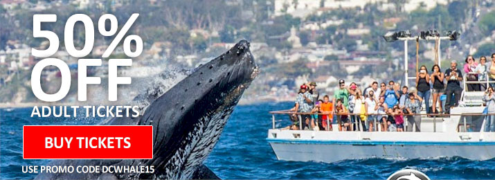 Newport Landing Whale Watching. Save 55% with Mobile-Friendly Coupon Codes