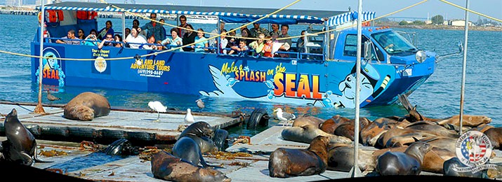 Click here for online discount tickets for Seal Tours Tours