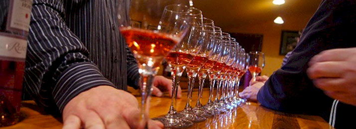 Save 10% Off Napa & Sonoma Wine Country Tour and Tasting Experience