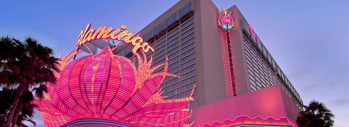 Flamingo Hotel Discounts Las Vegas