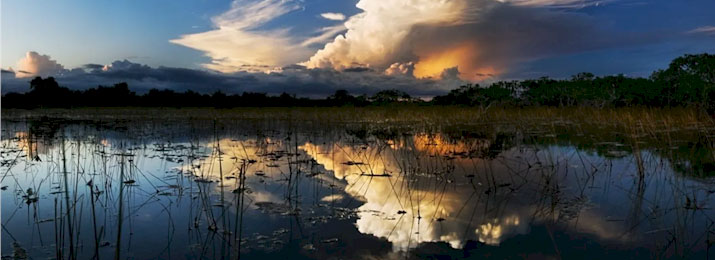 Private Miami Everglades Night Airboat Tour. Buy Direct and Save 10%