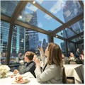 Dinner Cruise on the Chicago River : LOWEST PRICE! 