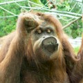 Save up to 55% Off 45 of the best San Diego attractions!