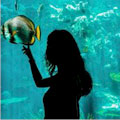 Save $8.00 Off Aquarium of the Pacific. Save Over 25% E-Ticket Purchase!