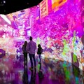 Artechouse Washington DC : SAVE 10% OR MORE!