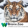Bronx Zoo