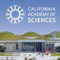 California Academy of Sciences