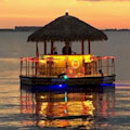 Cruisin' Tikis Adventure in Sarasota. From Only $50 Per Person