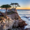 Monterey and Monterey Bay Aquarium Tour from San Francisco Coupon Codes
