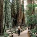 15% Off Muir Woods & Sausalito Tour