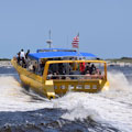 Sea Screamer Dolphin Cruise Myrtle Beach : LOWEST PRICE ... FROM $18