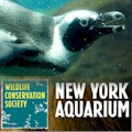 New York Aquarium