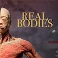 Real Bodies Exhibition at Bally's : SAVE 10%