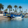 Discount coupons for Seal Tours San Diego!
