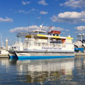 St. Augustine Wildlife and History Boat Tour : FROM $15