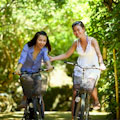 Central Park Bike Rentals : SAVE 50% ... FROM $18.50