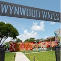 Wynwood Walls & Street Art Tour : SAVE 10%