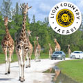 west palm beach safari coupons