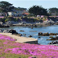Monterey, Carmel & 17-Mile Drive : SAVE 10% ... FROM $60.30