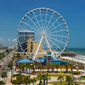 Sea Screamer Dolphin Cruise