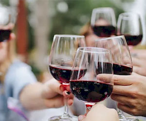 LOWEST PRICE! SONOITA WINE TOUR NOW ONLY $119!