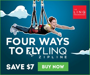 Fly Linq Zipline Discount Tickets and Promo Codes Las Vegas. Save $5.00 Off tickets!
