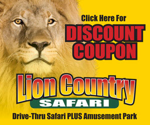 discount for african lion safari