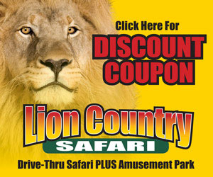 african lion safari coupons groupon