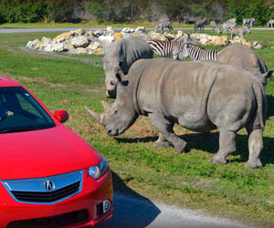 lion country safari discount coupons