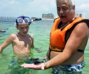 Destin Snorkel Tours