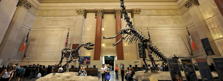 Discount tickets for American Museum of Natural History