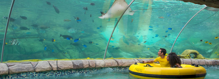 Aquatica San Antonio Save with Mobile-Friendly Coupon Codes, Promo Codes