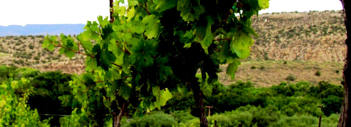 Sedona Winery and Wine Tasting Tour. Only $129
