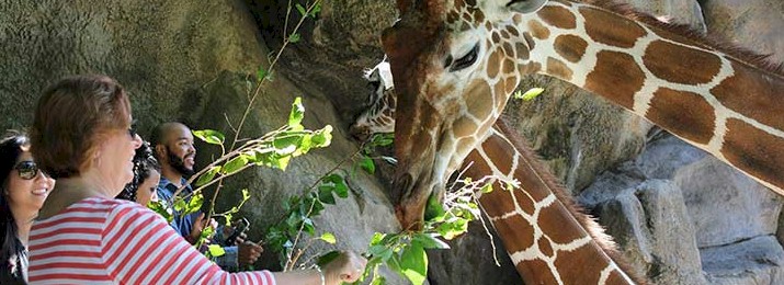 Click here for online discount tickets for Philadelphia Zoo