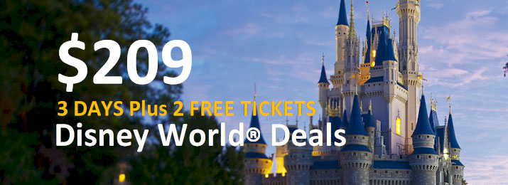 disney world packages for a family of 6 disney world packages for a family of 6