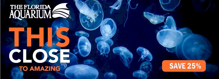 Tampa Attraction Coupons, Tampa Things To Do