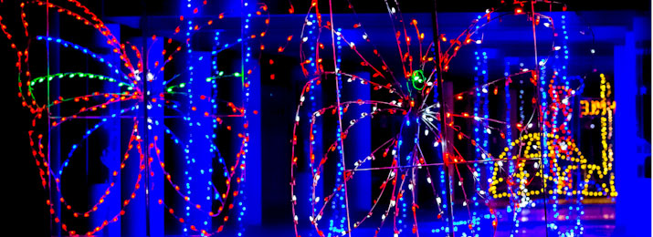 Glittering Lights at Las Vegas Motor Speedway. Save up to $30.50 