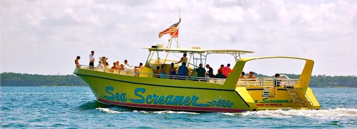 Clearwater Sea Screamer Tour with Grayline Orlando