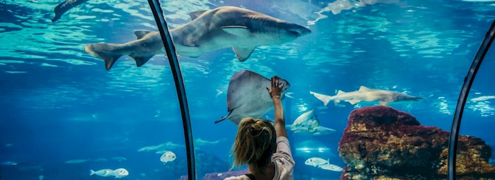 Free coupons for Toronto Ripley's Aquarium! Save with Free Discount Travel Coupons from DestinationCoupons.com!