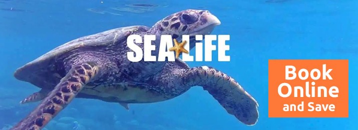 Lowest Price for Sea Life Aquarium