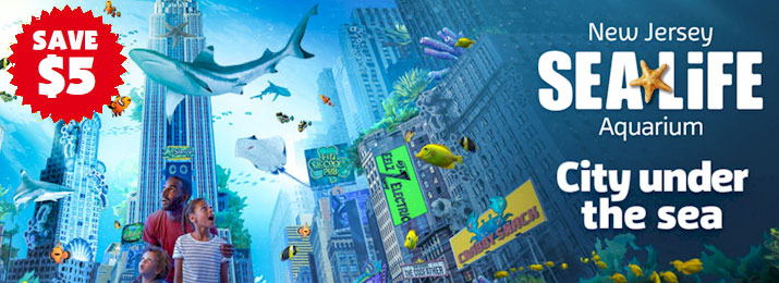 american dream aquarium opening date american dream aquarium opening date