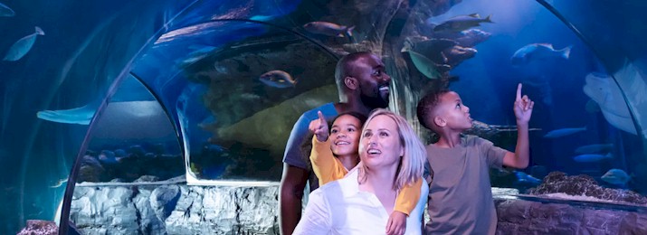 Free coupons for Sea Life Aquarium! Save with Free Discount Travel Coupons from DestinationCoupons.com!