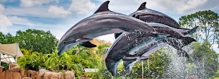 SeaWorld Orlando Save with Mobile-Friendly Coupon Codes, Promo Codes