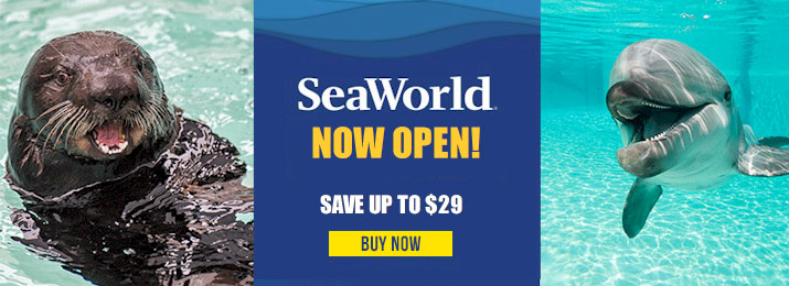 SeaWorld San Antonio. Save up to $29.00