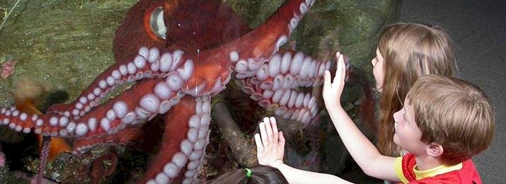 Save 49% Off Seattle's Most Famous Attractions
