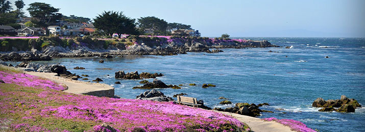 Save 10% Off Monterey Carmel Tour with Tower Tours