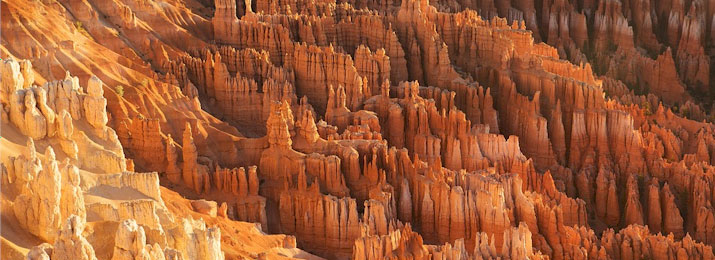 Bryce & Zion Tours from Las Vegas Discounts and Promo Codes.