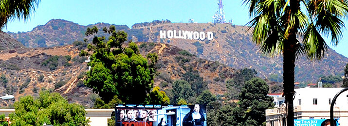 Hollywood & Santa Monica VIP Tour