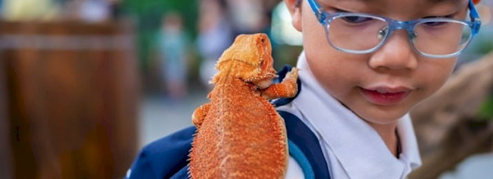 https://www.destinationcoupons.com/images/715x260-alligator-discovery-center-3-1637106060.jpg
